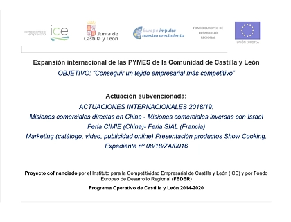 Expansión internacional de las PYMES de la Comunidad de Castilla y León 2019