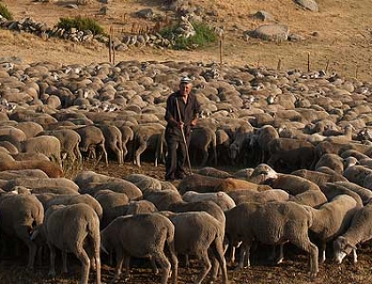 El pastoreo y su contribución a la sostenibilidad ambiental y el desarrollo del mundo rural.