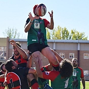 Moralejo Selección, patrocinador del Zamora Rugby Club