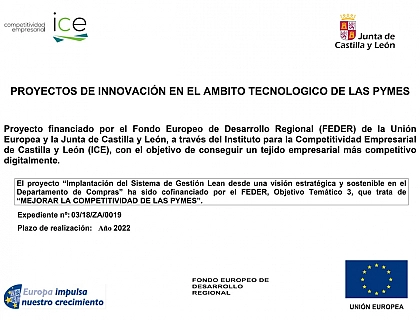 Proyectos de innovación en el ámbito tecnológico de las Pymes.