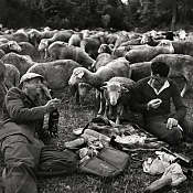 El pastoreo y su contribución a la sostenibilidad ambiental y el desarrollo del mundo rural.